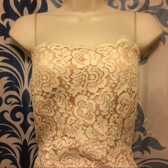 Vintage Lace Dress - Picture 3 of 8